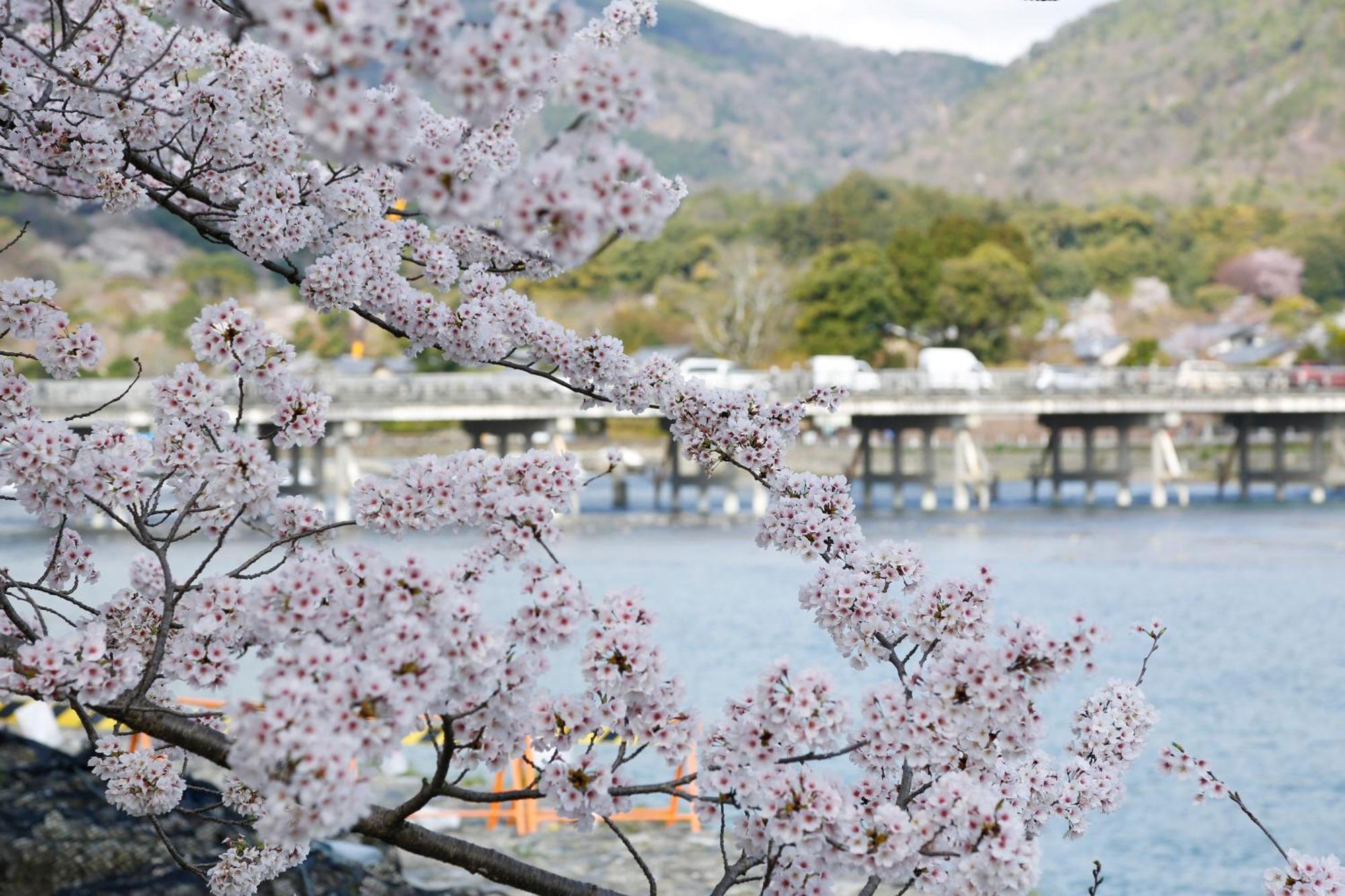 Kyoto Arashiyama Onsen Ryokan Togetsutei ภายนอก รูปภาพ